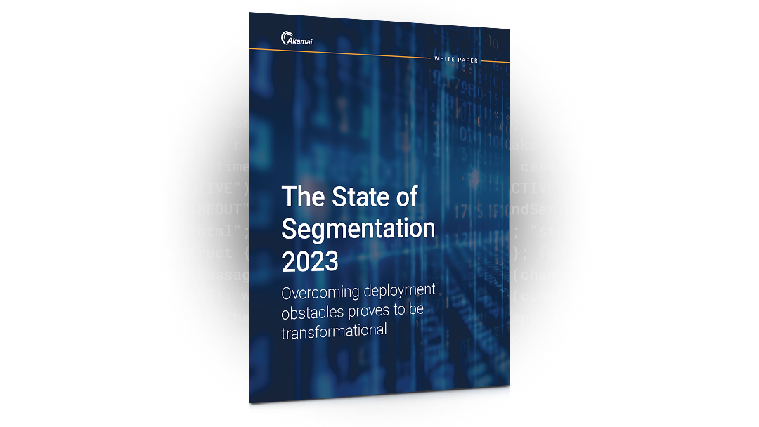 The State of Segmentation 2023 | White Paper