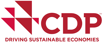CDP | Driving Sustainable Economies